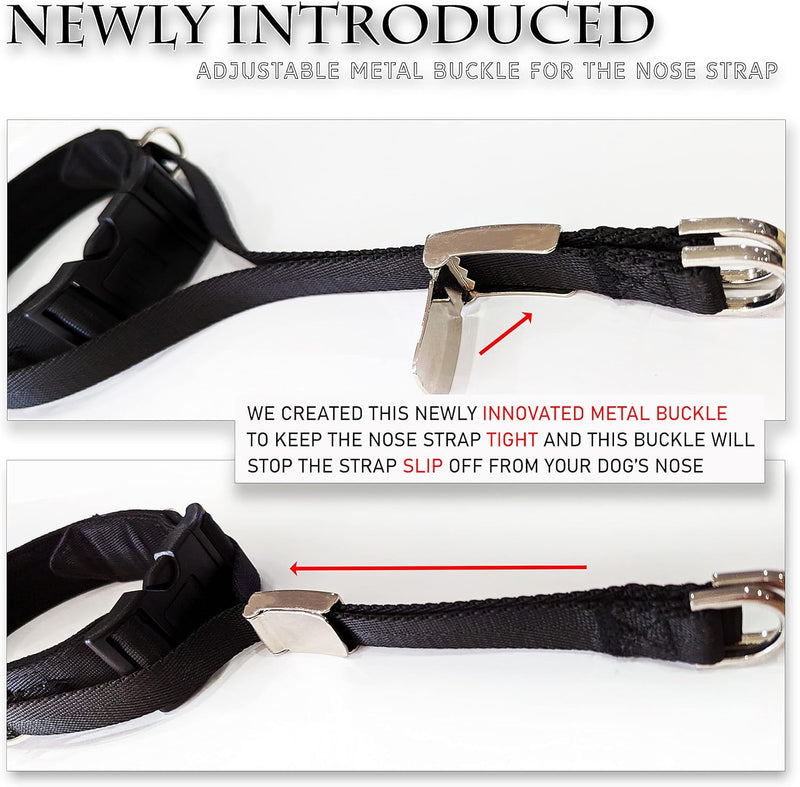 PetsProMax No-Pull Dog Headcollar for Large Dogs (Agressive/Reactive Dogs; Instant Stop Pulling; Gentle Training Collar for Dogs; Comfortable, Safe, and Effective Walking/Training Solution (Black, L) 0.5 Inch Wide Large (L) - BeesActive Australia