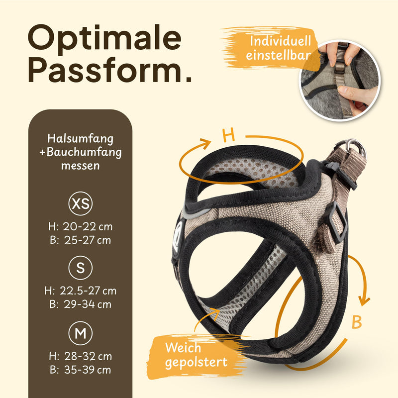 Tierhood - Cat harness set with leash for controlled freedom - Soft harness - Comfortable, adjustable & robust - Harness for active cats (gray, size M) M (neck size 28-32cm) (chest size 35-39cm) gray - BeesActive Australia