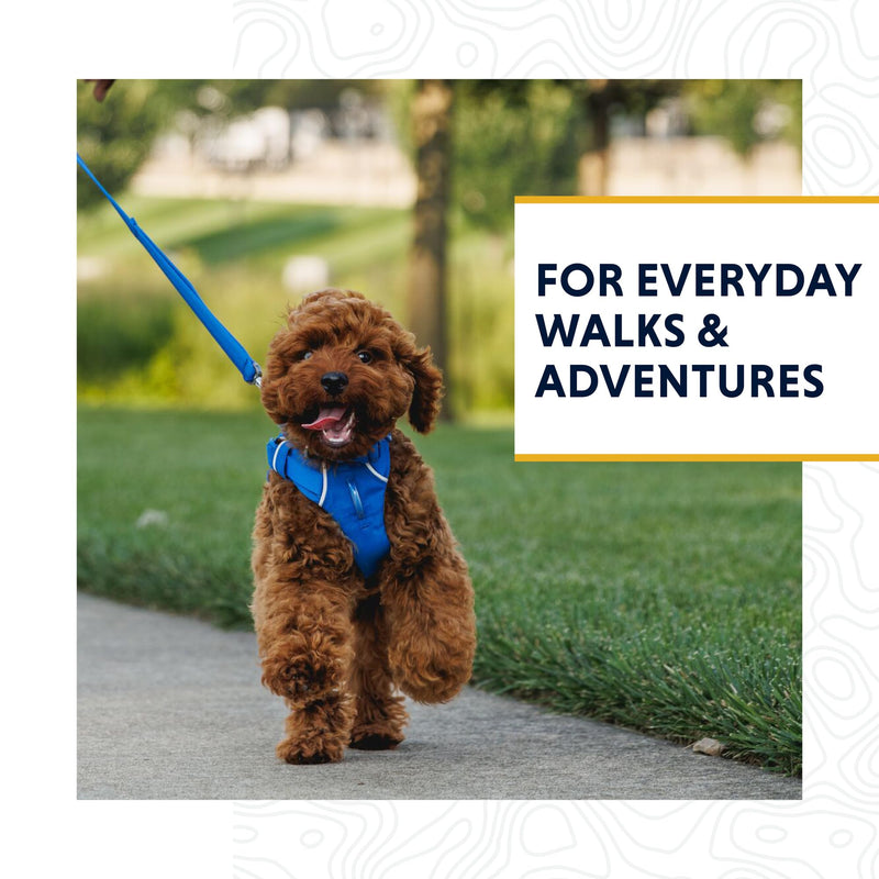 Ruffwear, Front Range Dog Leash, 5 ft Lead with Padded Handle for Everyday Walking, Spring Fade One Size - BeesActive Australia