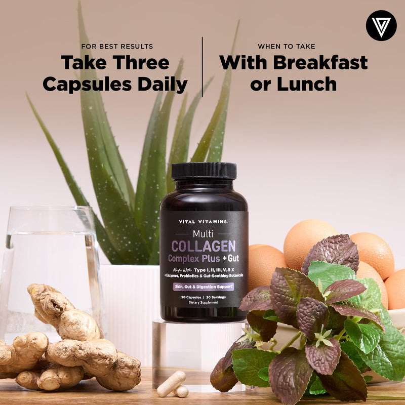 Vital Vitamins Multi Collagen Complex Plus + Gut, Probiotics & Enzymes | 5 Collagen Types I, II, III, V & X with Digestive Enzyme Blend, 3 Billion CFU Probiotic & Gut Botanicals, 90 Capsules 90 Count (Pack of 1)