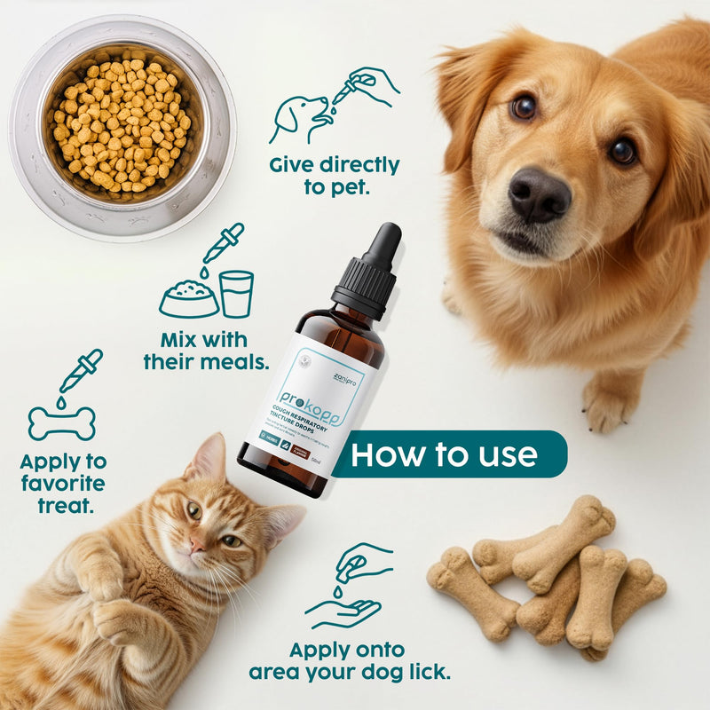 Kennel Cough Medicine for Dogs & Cats, Cat Cold Respiratory Infection Treatment, Sneezing, Cold & Nasal Decongestant Relief for Pets, Fully Natural Mullein Tincture - 50ml