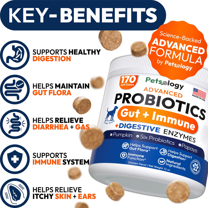 Probiotics for Dogs - 170 Dog Probiotics Chews - Digestive Enzymes & Prebiotics - Support Gut Health, Diarrhea, Gas & Constipation Relief - Itchy Skin, Allergies, Yeast Balance - Advanced Supplement 170 Chews Probiotic
