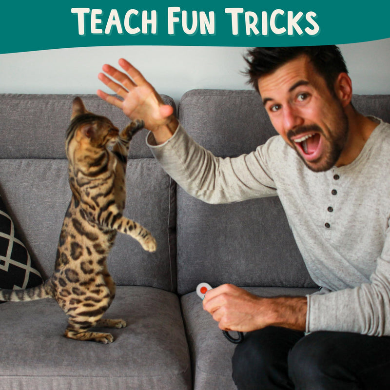 ALBERT & MIA Cat Training Kit (4 Pieces) - Quiet Clicker + Target Stick Clicker + Treats Pouch + Cat Clicker Training Start Guide (Beginner to Expert) Cat Training Set - BeesActive Australia