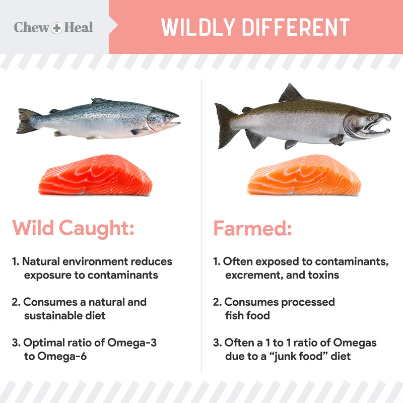 Wild Alaskan Salmon Fish Oil for Dogs - 32 oz. of Fish Oil Formula - Pump Cap Bottle - Contains Omega-3 and 6, Vitamin D, EPA, and DHA for Healthy Skin and Coat 32 oz Oil - PawsPlanet Australia