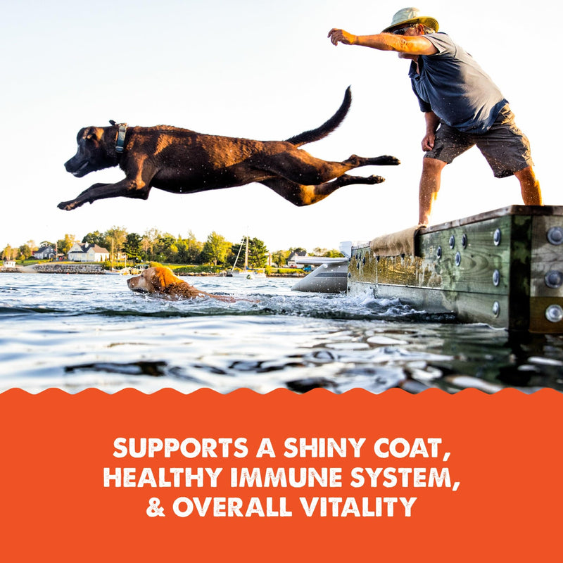 Grizzly Pet Products Salmon Plus Omega 3-6-9 Food Supplement for Dogs and Cats, 32 Ounce