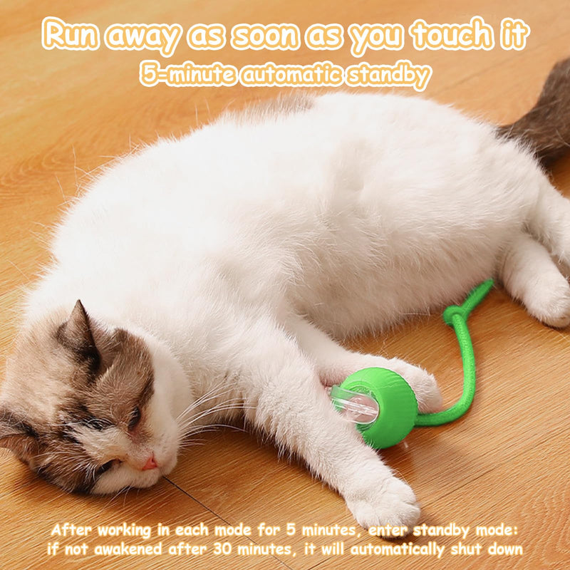 Interactive Rolling Pet Ball, Upgraded Electric Rolling Cat Toys Ball Self Moving Dog Toy, 360° Automatic Rolling Ball Toy Electric Pet Balls for Cats Dogs (Green) Green - BeesActive Australia