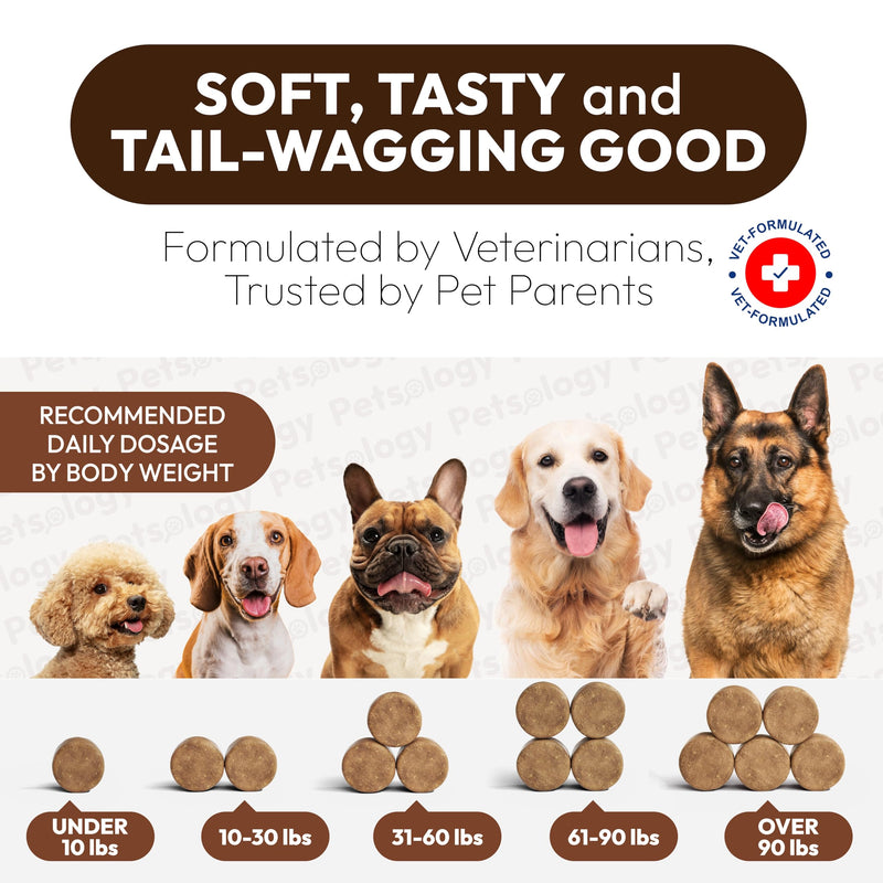 Turkey Tail Mushroom for Dogs - 250 Chews - Lion’s Mane - Shiitake - Reishi - Buddy Immune Support Guard - Lipoma Mushroom Supplement for Dogs Lumps and Bumps Glucosamine, Health Vitamins Multivitamin