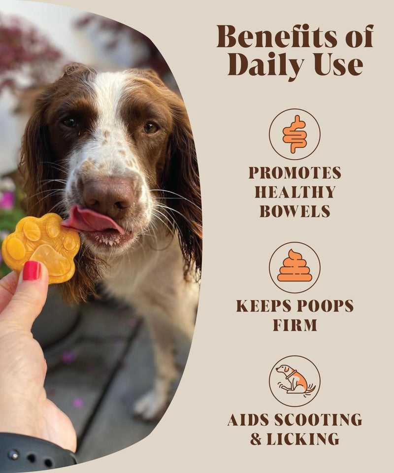 Pumpkin Powder for Dogs (225 grams) | Create Natural Pumpkin Purée | UK Canned Pumpkin Alternative | High Fibre Topper (30 Daily Servings) | Hackney Dog House