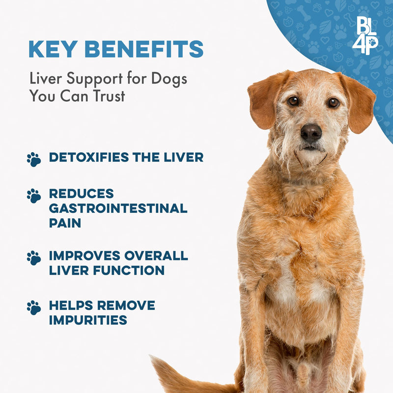 Hepatic Liver Support for Dogs, Dissolvable Homeopathic Digestive Canine Supplement for Liver Detox and Nutrient Absorption, 100% All Natural, Easy to Give, Free of Chemicals or Additives, 400 Pills - PawsPlanet Australia