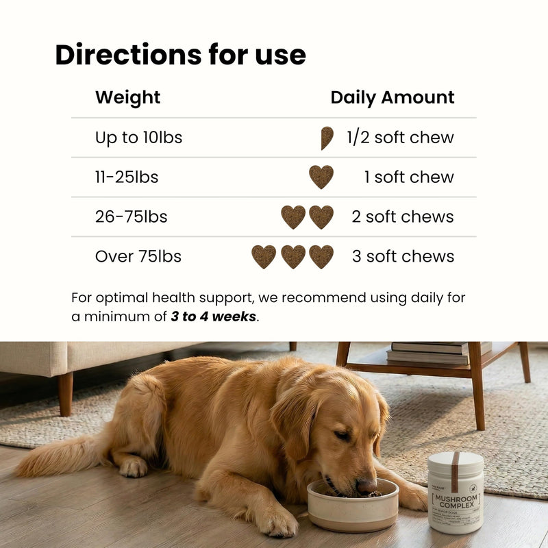 Pawpulse Formula Mushroom Chews for Dogs with Turkey Tail, Lion's Mane & Reishi – Senior Dog Supplement for Lipoma, Lumps & Bumps – Immune Support & Gut Health – 80 Count