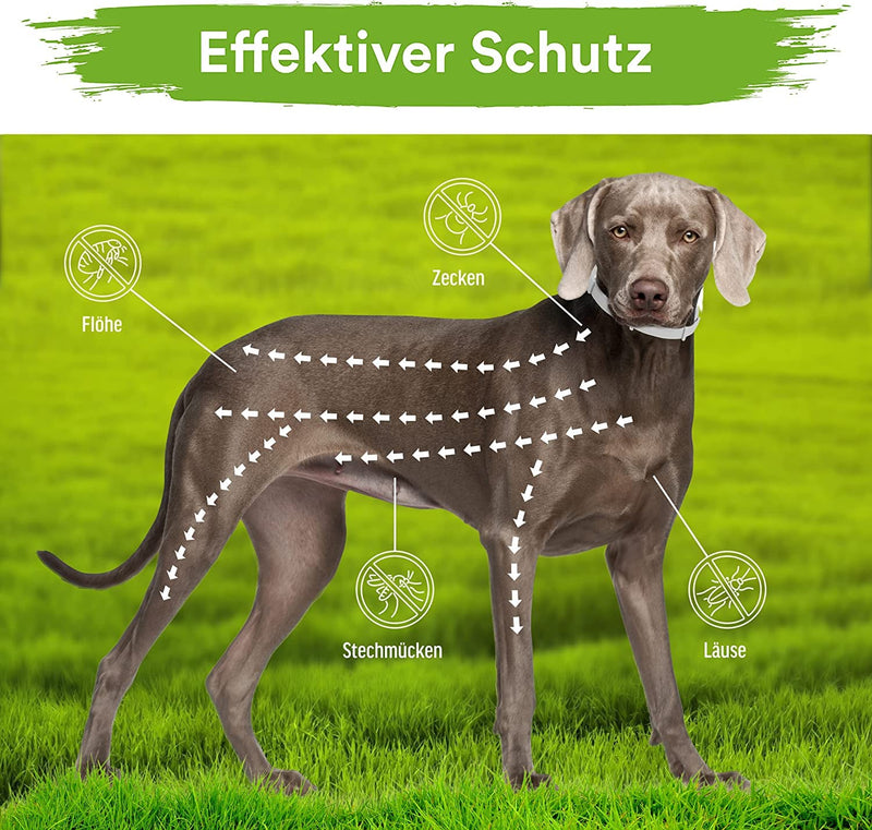 MC-Royal® Deluxe tick collar for dogs - 100% natural ingredients - reliable tick protection for up to 8 months - BeesActive Australia