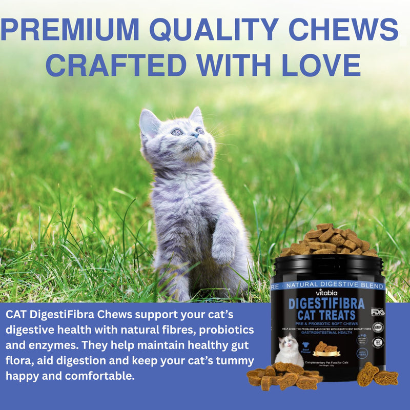 DigestiFibra Probiotics for Cats UK - Natural Digestive Care Chews with Prebiotic Fibre, Pumpkin for Gut Health, Firm Stools and Anal Gland Support (80 Count) 80 Count