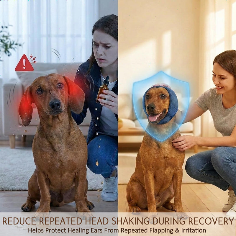 HOFi No-Shake Ear Wraps for Dogs: Reduce Ear Shaking by 95% During Hematoma Recovery - Secure No-Slip Fit After Surgery - Cone Alternative for Dachshund/Westie/Shiba Inu Small Breed