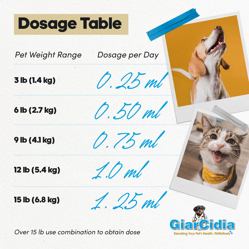 No More Tapeworms in Cats and Dogs- Dewormer for Cats and Dewormer for Dogs- USA Made Oral Suspension - Chicken Flavour with 3ml Dropper (60ml) 60ml Chicken