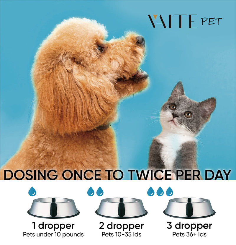Hip & Joint Glucosamine Drops for Pets - Advanced Formula with Glucosamine, Chondroitin & MSM - Enhances Mobility Support - Natural Pain Relief for Dogs and Cats - Anxiety Supplement for Senior Pets - BeesActive Australia
