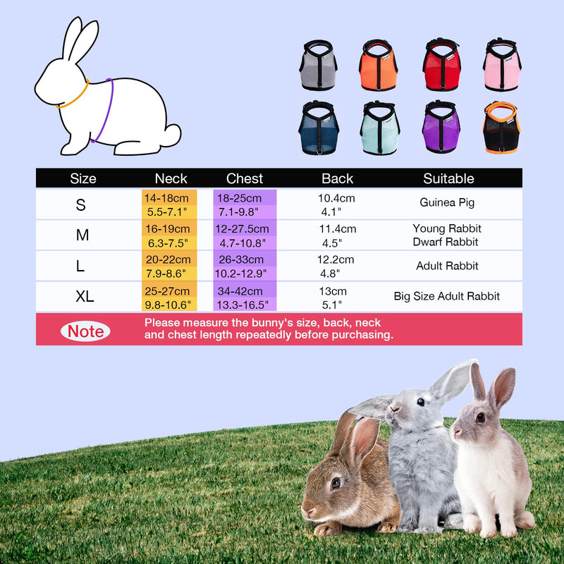 Niteangel Adjustable Soft Harness with Elastic Leash for Rabbits (L, Blue) L - BeesActive Australia