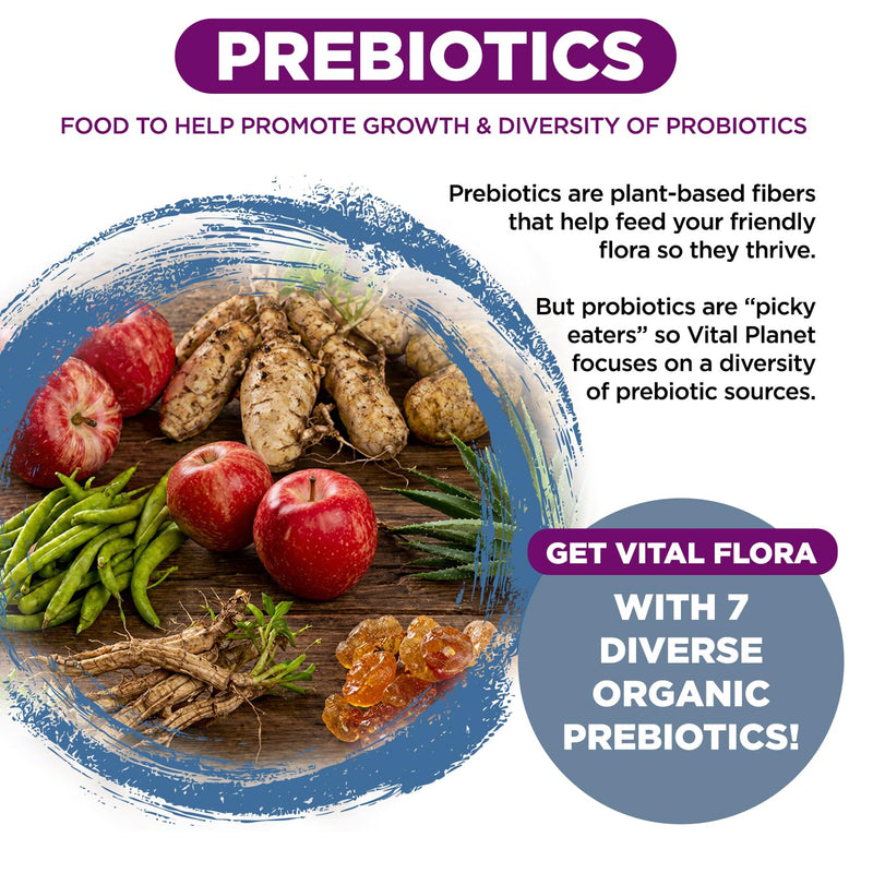 Vital Planet - Vital Flora Women Over 55 Daily Probiotic, 60 Billion CFU, Diverse Strains, Organic Prebiotics, Vaginal and Immune Support, Digestive Health Probiotics for Women 30 Capsules