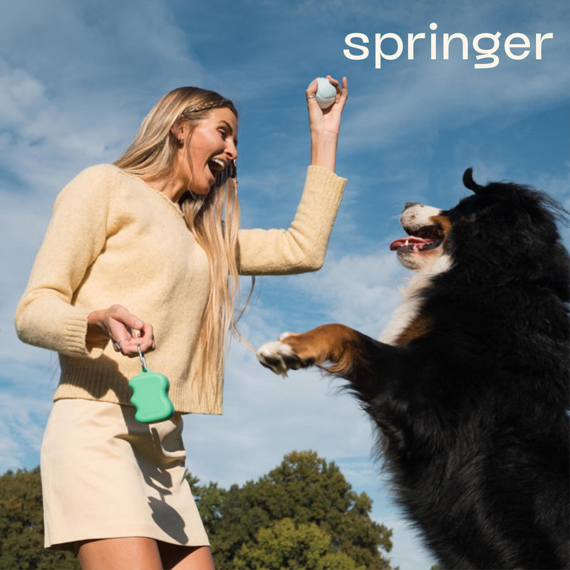 Springer Dog Treat Pouch for Effort-Free Squeeze Dispensing - Easy-fill, Food-Grade Silicone Treat Pouches for Pet Training - Includes Carabiner-Black Black - BeesActive Australia
