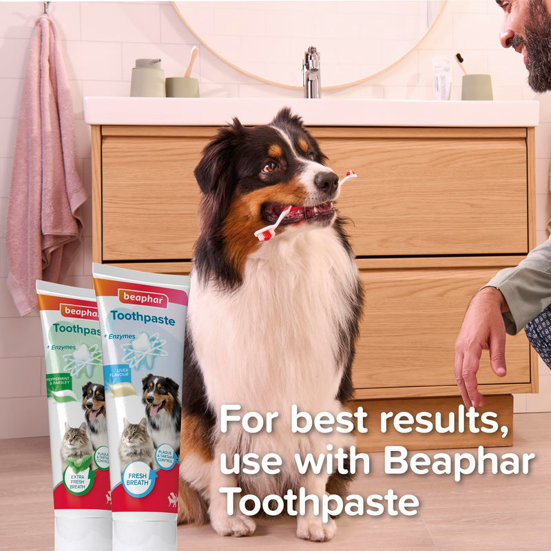 Beaphar - Finger Pad – for Gentle and Precise Teeth Cleaning – Help Reduce Plaque and Freshen Breath When Used with Beaphar Toothpaste – for Cats and Dogs – Two Pack – Reusable Pet Dental Pads