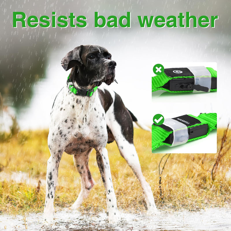 MASBRILL Luminous Dog Collar, Luminous Rechargeable USB-C Dog Collar, LED Collar for Dogs, Adjustable Waterproof, Luminous Dog Collar, 3 Light Modes for Small, Medium, Large Dogs (Green M) Green - BeesActive Australia
