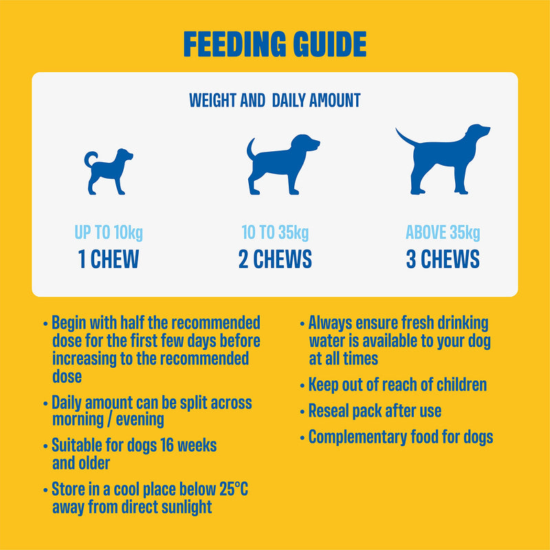 ivvi HIP & JOINT Supplements for Dogs with High Levels of Glucosamine for Dogs, Chondroitin, MSM & Green Lipped Mussel for Dogs – Arthritis Dog Supplement - 60 Tasty Soft Chews with Chicken