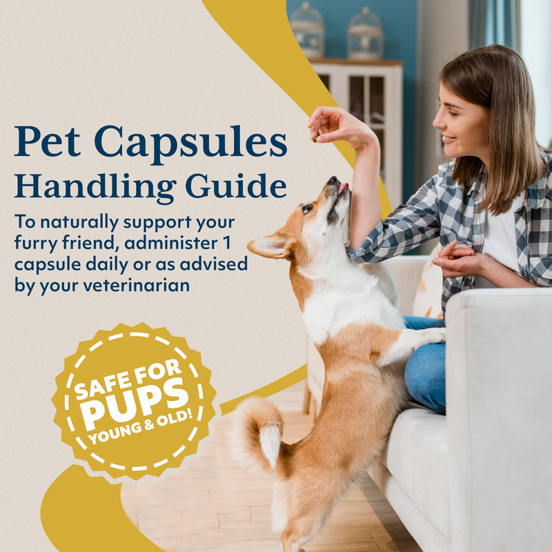 Ayush Pet Ashwagandha Capsules for Dogs & Cats - Organic Ashwagandha Root Extract for Calm and Daily Balance, Adaptogenic Wellness Supplement for Pets, 500mg Per Capsule - 120 Servings