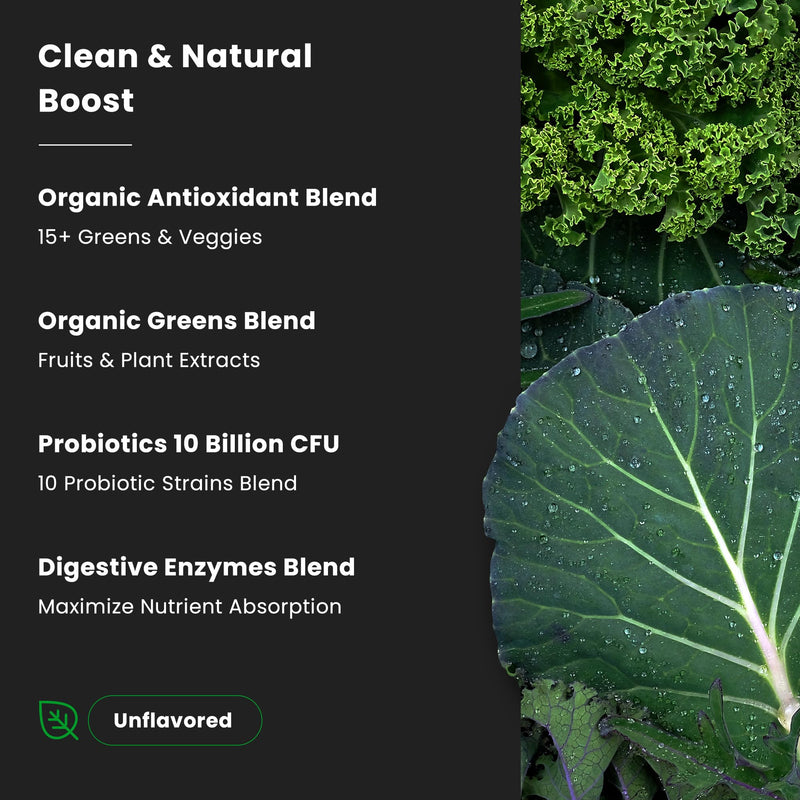 NutraChamps Super Greens Powder Premium Superfood | 20+ Organic Green Veggie Whole Foods | Alfalfa, Spirulina, Chlorella & More | Antioxidant, Digestive Enzyme & Probiotic Blends | Unflavored | 60 SVG 18 Ounce (Pack of 1)