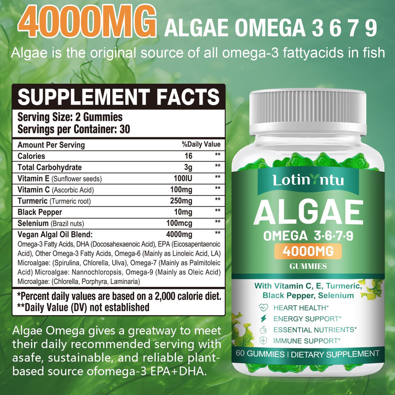 Algae Omega 3 Gummies 4000mg - Fish Oil Gummies Alternative from Algae Oil, DHA 1500MG & EPA 270MG, Vitamin C, E,Turmeric, Black Pepper & Selenium, Supports Heart, Brain & Immune Wellness, 60 Gummies 60 Count (Pack of 1)