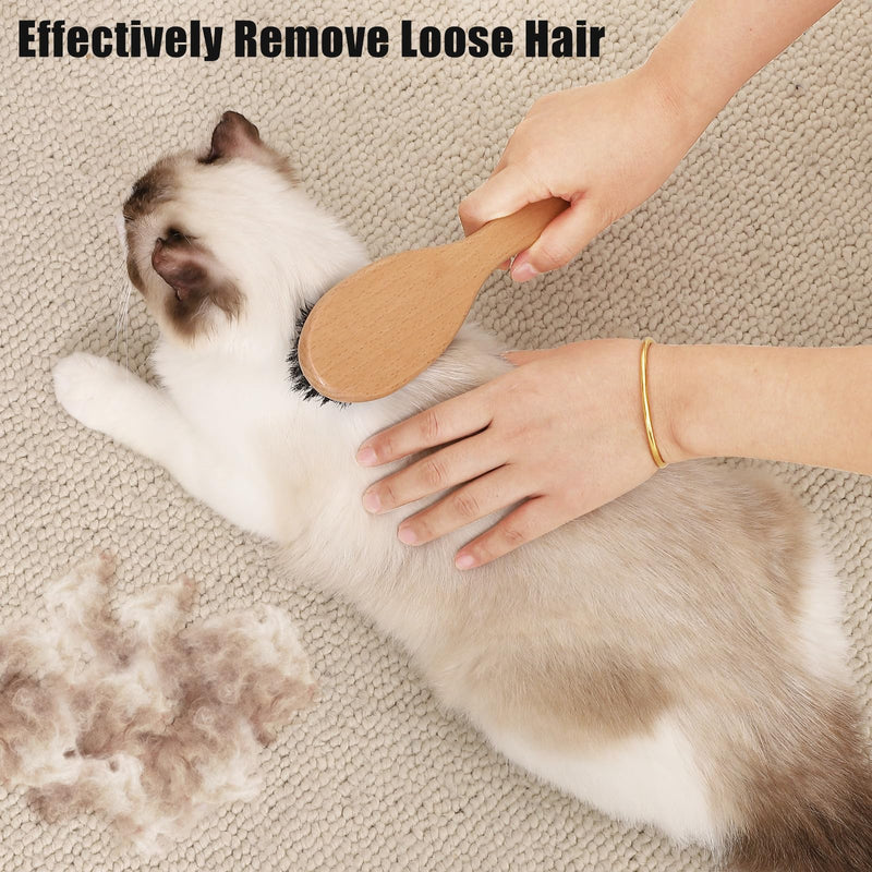 Boar Bristle Cat Brush with Wooden Handle, Soft and Gentle, Reduce Shedding, Make Coat Soft, Smooth and Shinny, Daily Grooming Tool for Short Haired Cats, Kitten Wood - BeesActive Australia