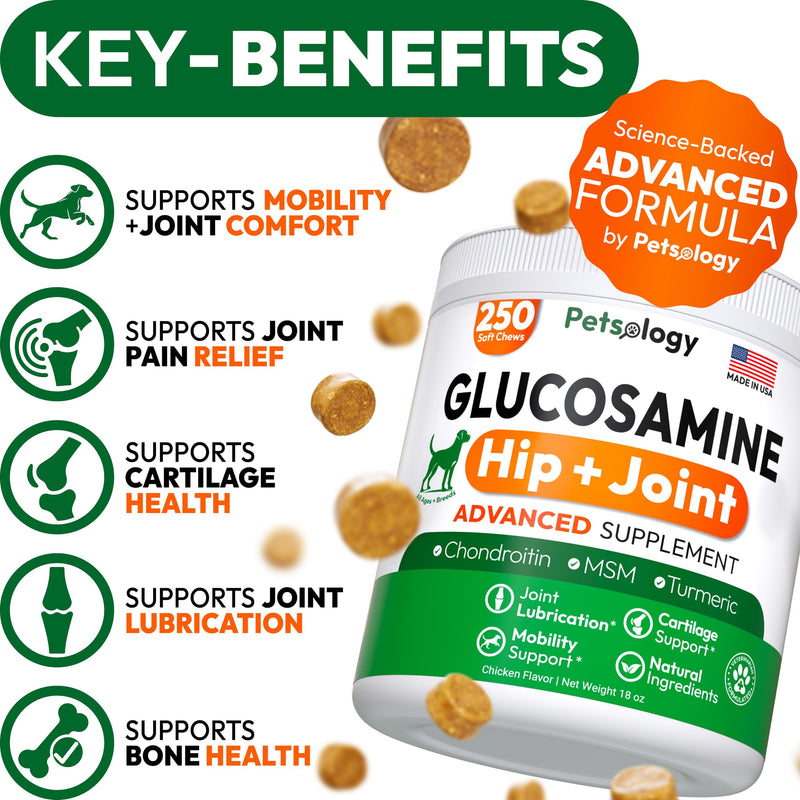 Glucosamine for Dogs - 250 Chews with Chondroitin - Hip and Joint Supplement with MSM - Turmeric - Omega 3 - Joint Pain Relief - Advanced Support for Dog Health - For Large, Medium & Small Breeds 250 Treats