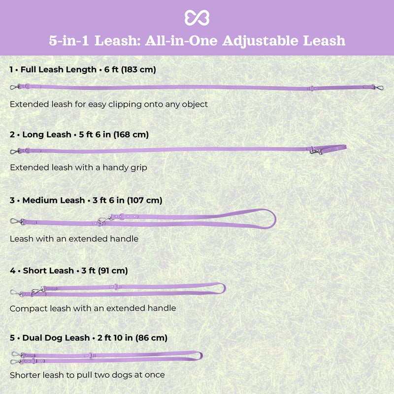 Waterproof Dog Leash | BearBone Double Ended Dog Leash | PVC Rubber Dog Leash with Dual Clip for Versatility | Lilac Dog Leash for Medium Dogs and Large Dogs (Lilac, Medium) - BeesActive Australia