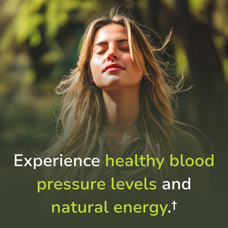 Vinco Inc - Nitric Oxide Elite Daily Blood Pressure Supplement | (120 Capsules) | Beet Root & Grape Seed Extract | Supports Circulation, Blood Pressure & Energy | Gluten Free &