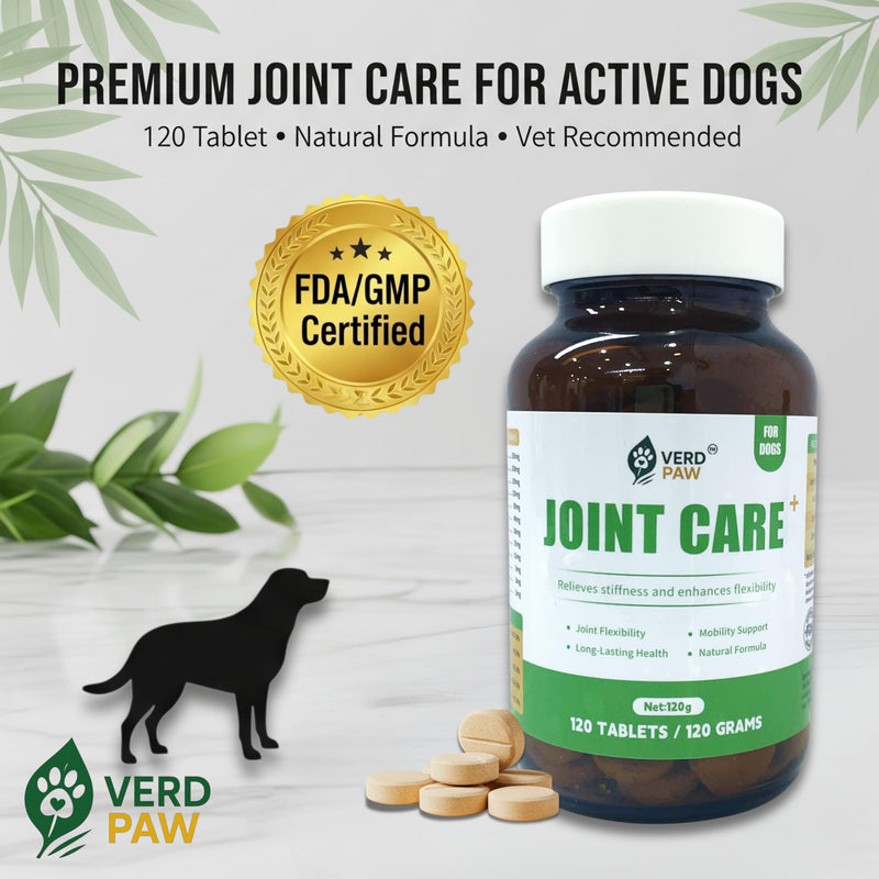 Dog joint supplements for dogs – Hip & joint care for dogs with glucosamine for dogs, Chondroitin, MSM & Green Lipped Mussel – Mobility, Flexibility & Stiffness Support – 120 Tablets – No Additives