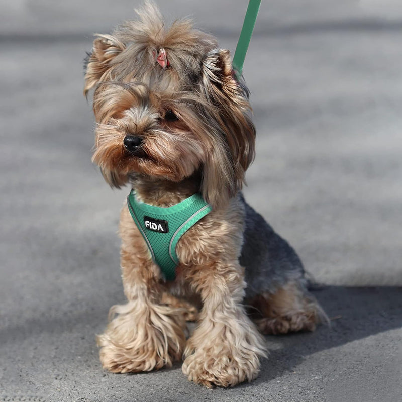 Fida Cat Harness and Leash Set for Walking Kitten and Puppy, Escape Proof Kitten Harness with Breathable Lightweight Soft Mesh, Adjustable Reflective Step-in Design. (XXXS, Green) XXXS (Neck:10.2"-11.4"; Girth:11.4"-12.6") Turquoise - BeesActive Australia