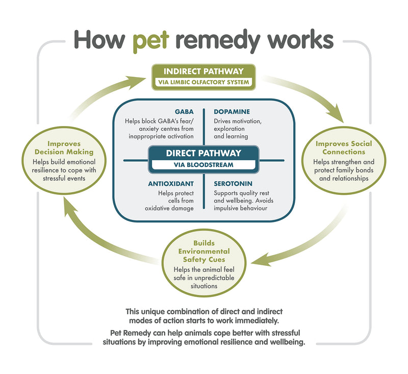 Pet Remedy Natural Puppy Calming Kit