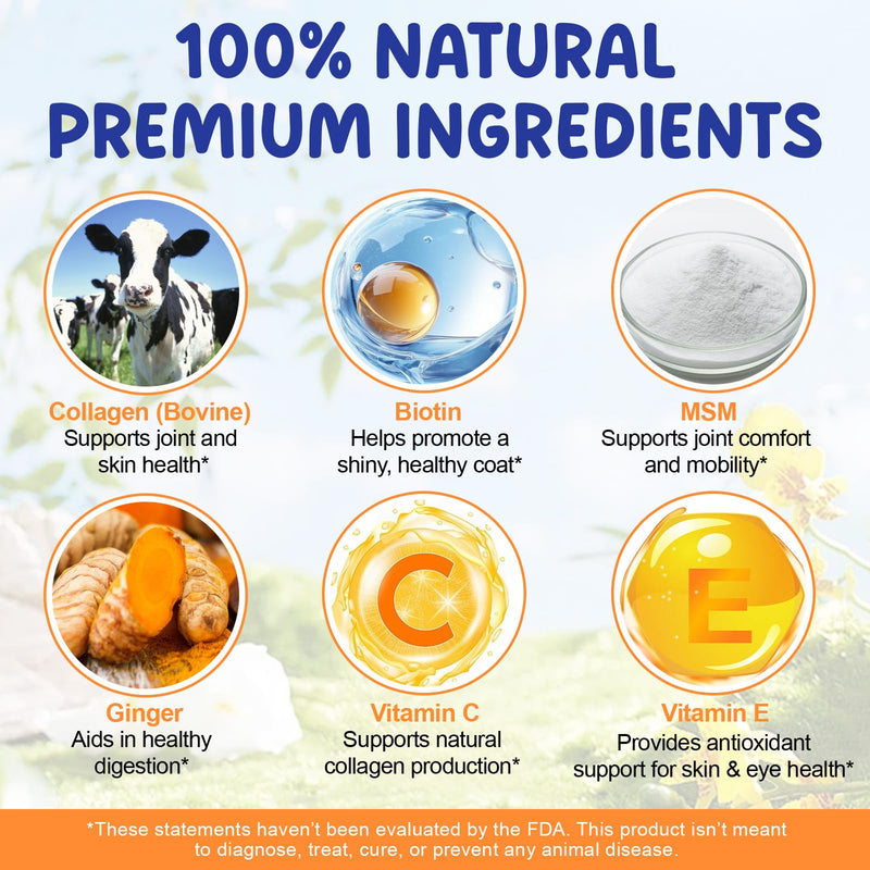 Liquid Collagen Supplement for Dogs – with Biotin, MSM & Ginger – Supports Joint Health, Skin & Coat, Digestion & Immunity – 2 fl oz (60 ml)