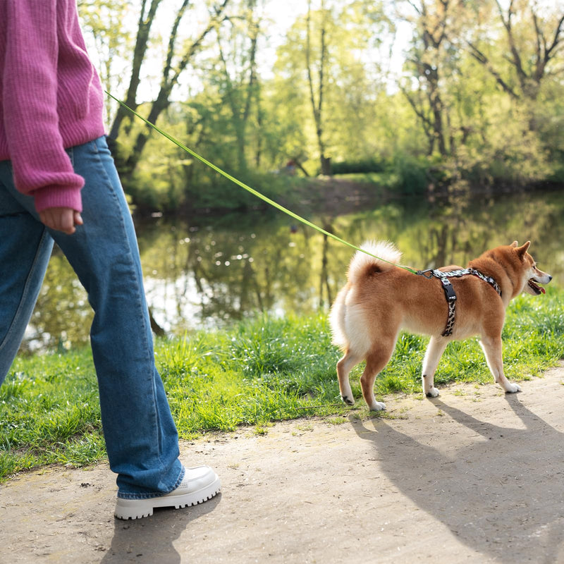 Purple Double Dog Leash, Heavy Duty Long Leash for Dogs Training Easy Puppy Leads for Walking Hands Free Metal Hook Dog Lead (5FT 59IN) S(150CM) purple - BeesActive Australia