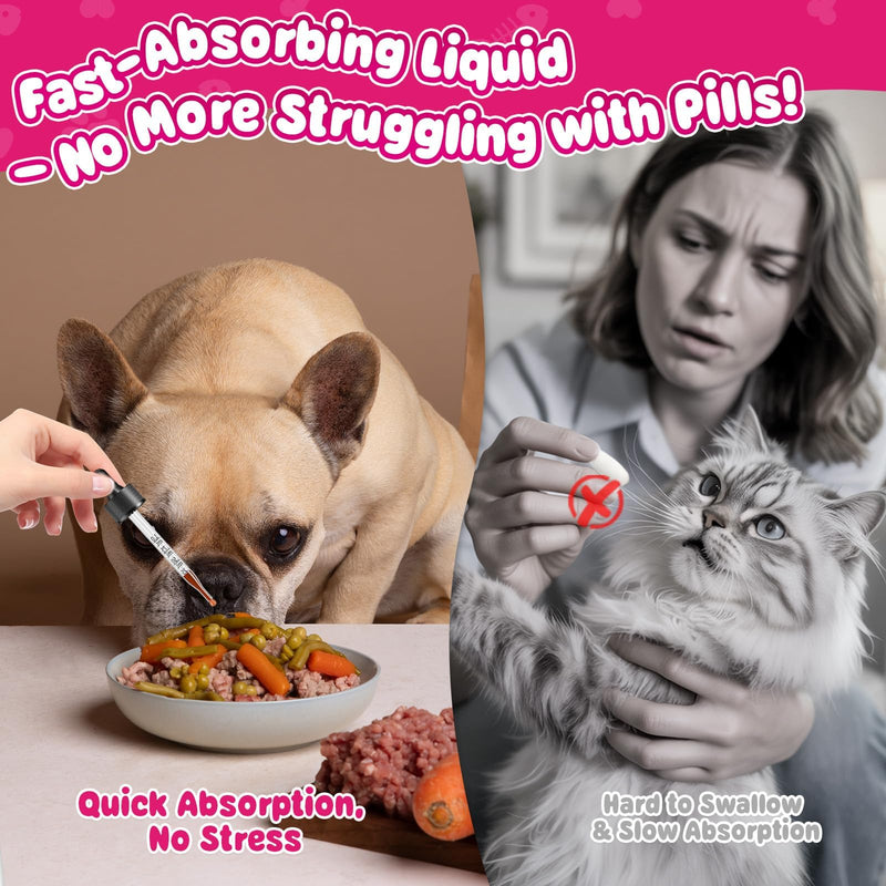 Cat & Dog Urinary Tract Support Drops with Cranberry – Kidney & Bladder Health– Natural Supplement for Pet Wellness & Comfort - BeesActive Australia