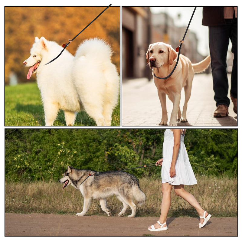5 Ft Slip Leads No Pull Dog Leash for Dog Training, Puppy Leash for Small Medium Large Dogs, Black No Pull Dog Pet Training Leads, Puppy Training Leads - BeesActive Australia