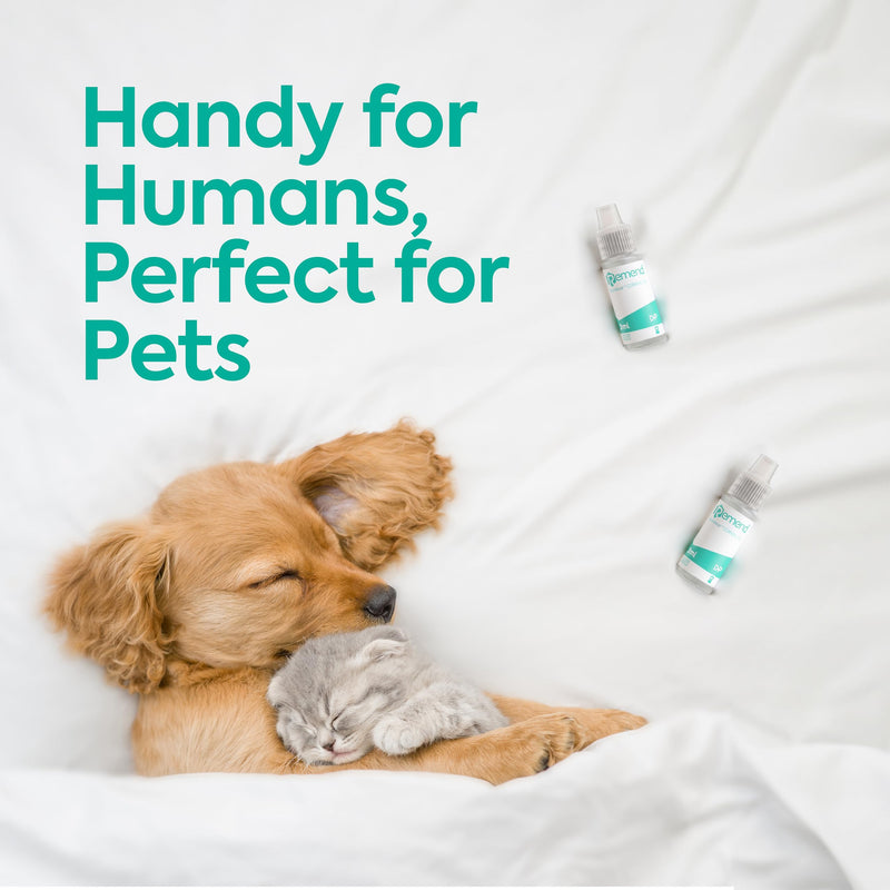 Remend Corneal Gel for Dogs and Cats (by Domes Pharma) - Pet Eye Drops for Dry Eyes, Eye Infection, Allergies & Cornea Recovery, Gentle Eye Care Treatment - 3 ml