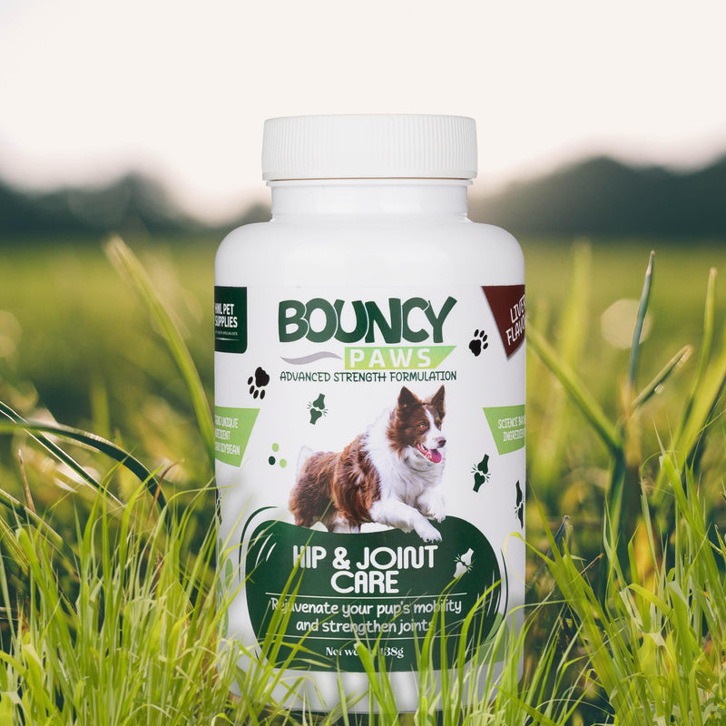 Joint Supplements for Dogs - 90 Tablets Green Lipped Mussel for Dogs, Senior Dog Joint Supplements, Advanced Strength Dog Arthritis Pain Relief with Turmeric, Glucosamine and Chondroitin - Made In UK