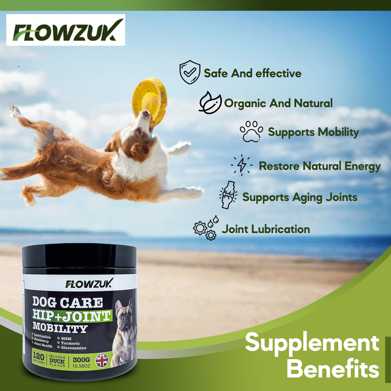 Dog Care Supplement - All-Natural Hip and Joint Supplements for Dogs - Dog Joint Itch Chews with Glucosamine, Turmeric, MSM - Beef