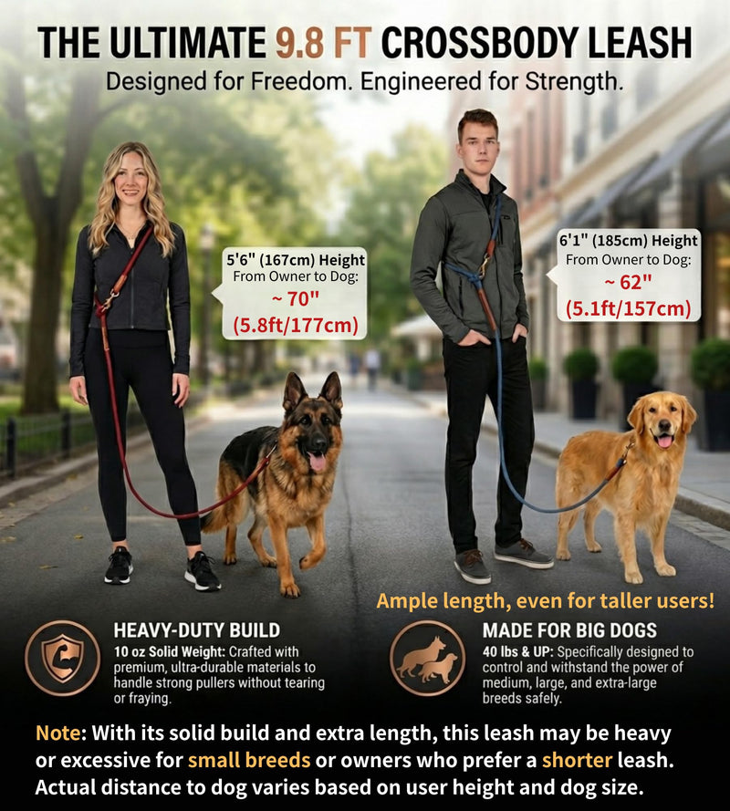 Tails & Tales Hands Free Dog Leash for Walking Running Training, Adjustable Lead Up to 9.8ft, Dogs Up to 125lbs, Crossbody, Dual Handle, Multifunctional, Double Attachment for 2 Dogs (Winery Red) Winery Red - BeesActive Australia