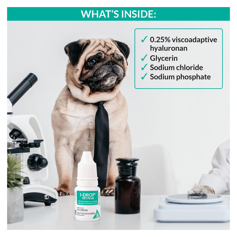I-DROP VET PLUS: Pet Eye Drops for Dogs | Lubricate Acute/Seasonal Dry Eyes | Superior Comfort | Long-lasting Relief | Fewer Application Needed, 0.25% Hyaluronan | Multi dose Bottle | One Bottle 10 ml - BeesActive Australia
