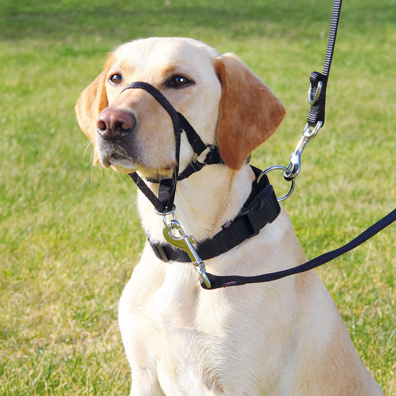 Trixie Top Trainer training harness L (31 cm), black - BeesActive Australia