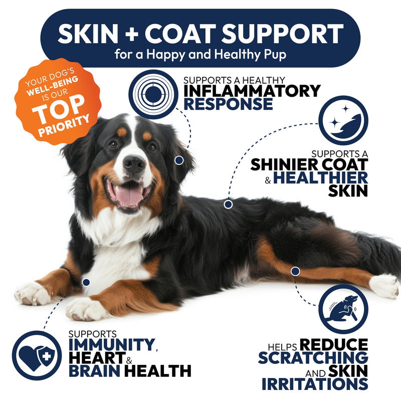 Omega 3 for Dogs - 250 Fish Oil Chews for Dog Shedding, Allergy & Itch Relief, Hot Spot Treatment - Advanced Skin & Coat Supplement - Joint Health - EPA & DHA Fatty Acids - Salmon Oil & Probiotics 250 Chews