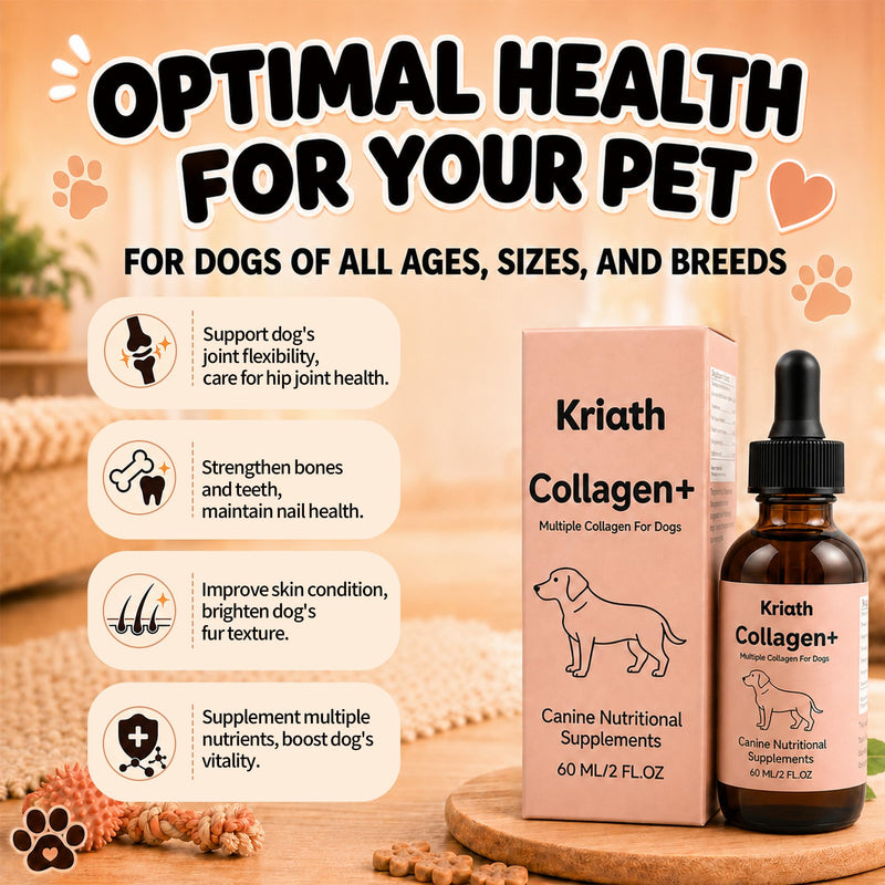Collagen for Dogs, 60ml Dog Hydrolysed Liquid Collagen Supplement for Daily Nutrition – Skin & Coat Support