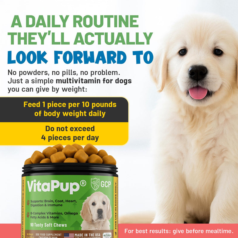 Guardian’s Choice VitaPup Puppy Vitamins Chews, Dog Vitamins for Growth, Digestion, Coat, Brain & Immune Support, Daily Multivitamin for Dogs with Omega 3, Biotin, & Calcium, 90 Tasty Soft Chews
