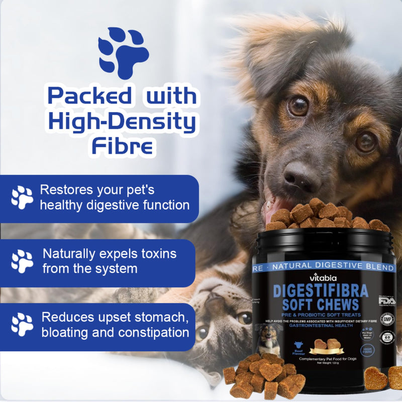 DigestiFibra Chews for Dogs - Probiotic & Prebiotic Soft Treats for Gut Health, Anal Gland Support, Digestion & Scooting Relief - 60 dog treats 60 Count