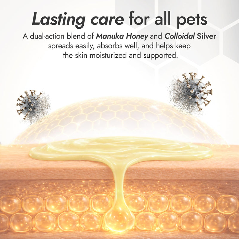 Manuka Honey Ointment 500+ MGO – Dog Hot Spot Treatment for Scratches, Burns, Irritations – Cat Wound Care with 55-PPM Colloidal Silver for Dogs – Manuka + Silver Healing Ointment in a 2-oz Tube Manuka Silver Ointment 2 Fl Oz x 1